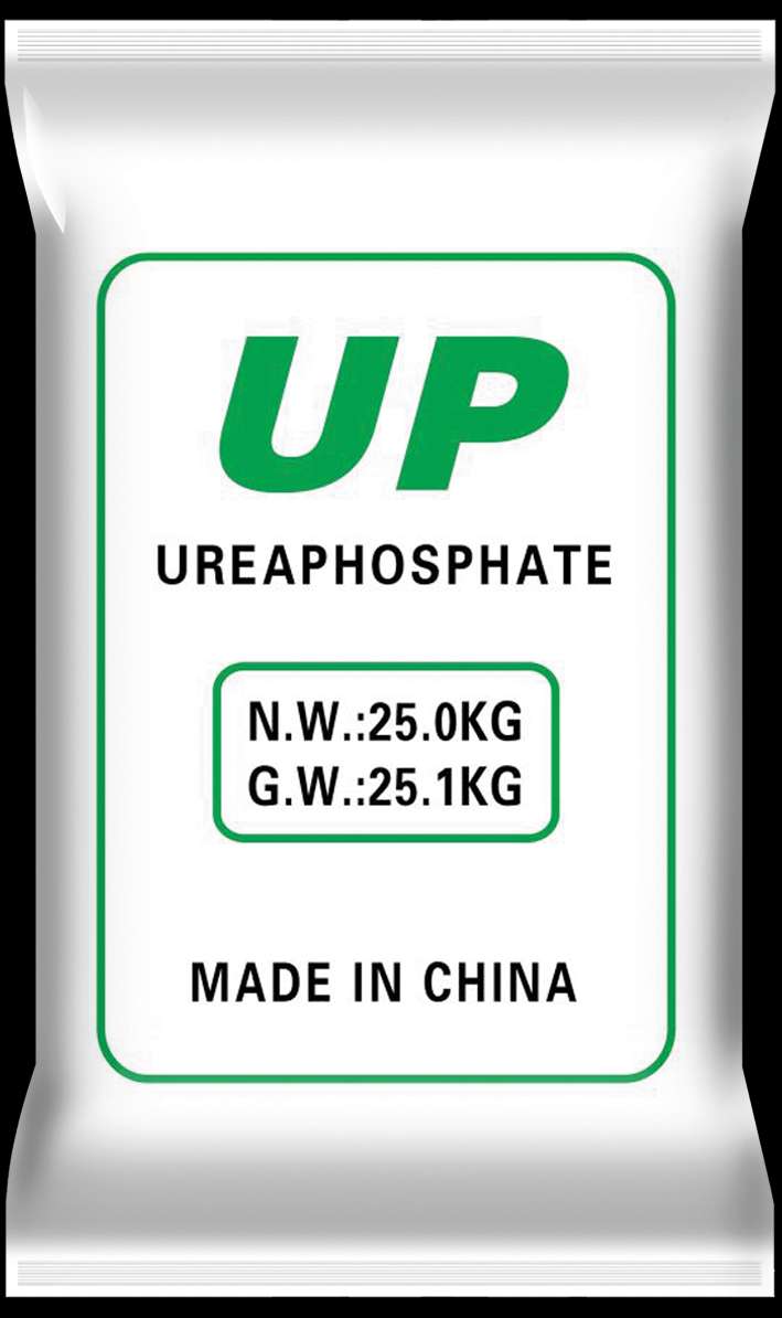 UP