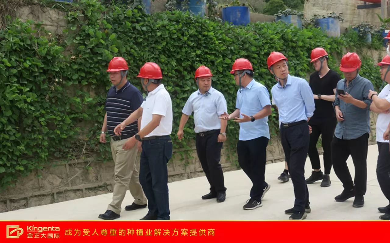 国投矿业投资一部总经理沈逸一行到金正大云南公司考察交流，洽谈合作